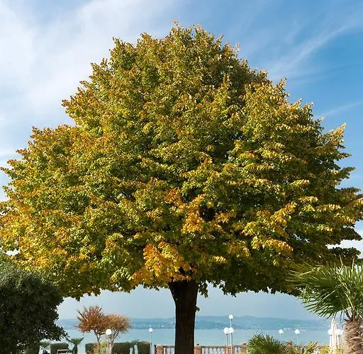 Hotel Pioppi Sirmione