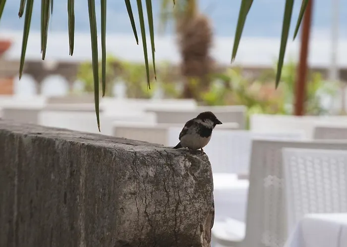 Hotell Pioppi Sirmione